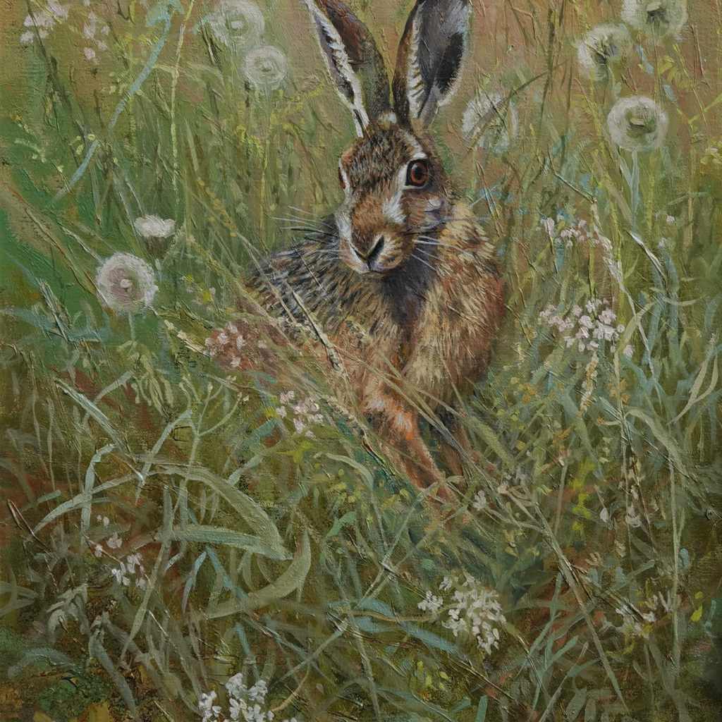 14 Feldhase DSC02877