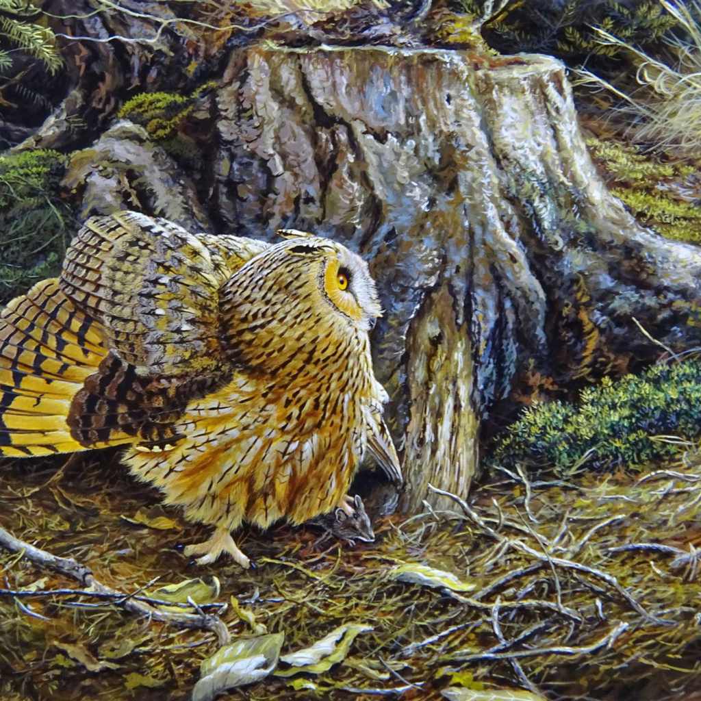 begegnung - Waldohreule und Wiesel DSC03897